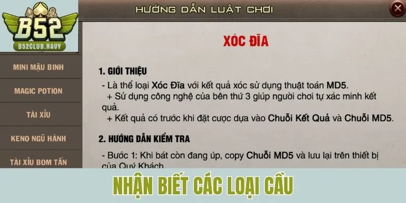 Nhận biết các loại cầu